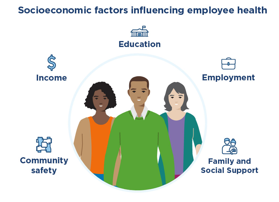 Illustration showing the Socioeconomic factors influencing employee health: three employees standing together, with icons surrounding them for education, employment, family and social support, community safety, and income.